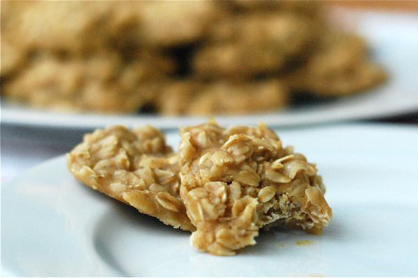 Healthy No Bake Peanut Butter Oatmeal Cookies
 healthy no bake peanut butter oatmeal cookies