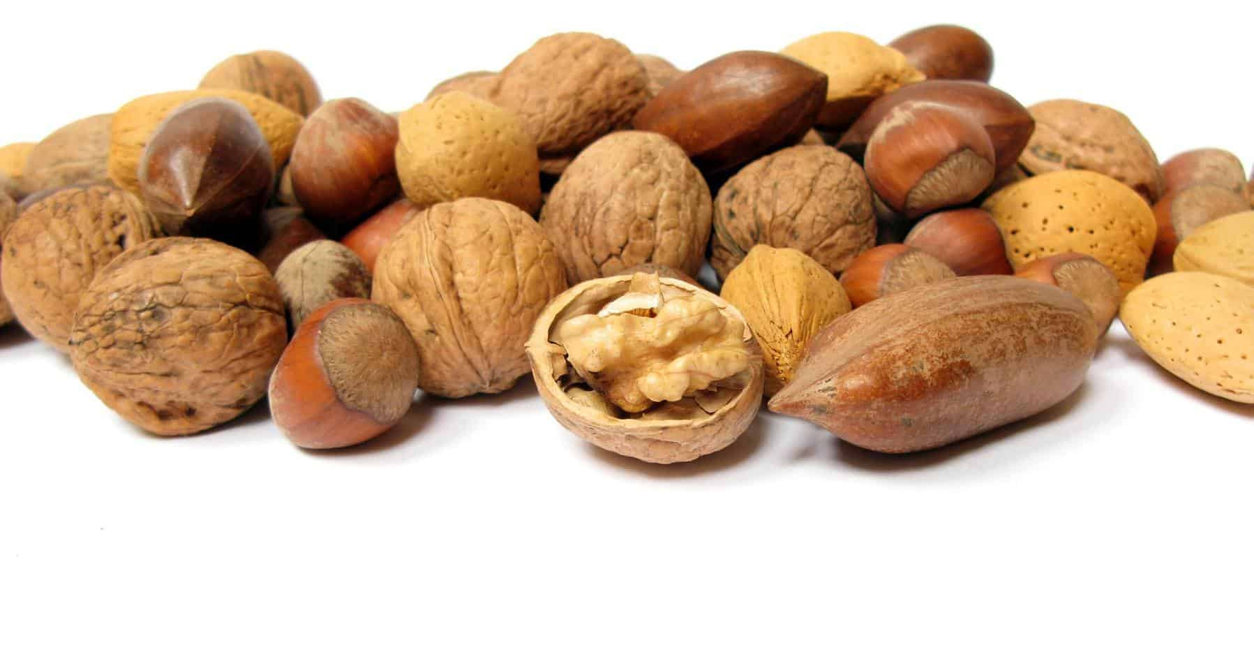 Healthy Nut Free Snacks
 Nuts for Nutrition 7 Health Boosting Nuts You Should Be