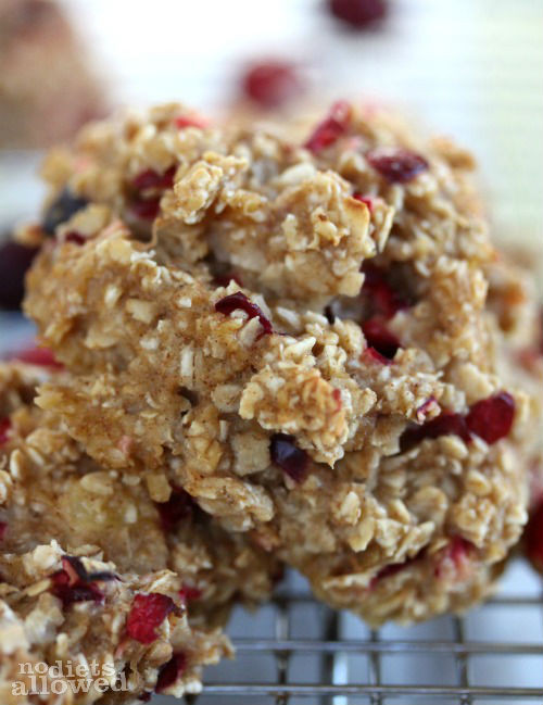 Healthy Oatmeal Breakfast Cookies 20 Of the Best Ideas for Healthy Oatmeal Breakfast Cookies No Diets Allowed