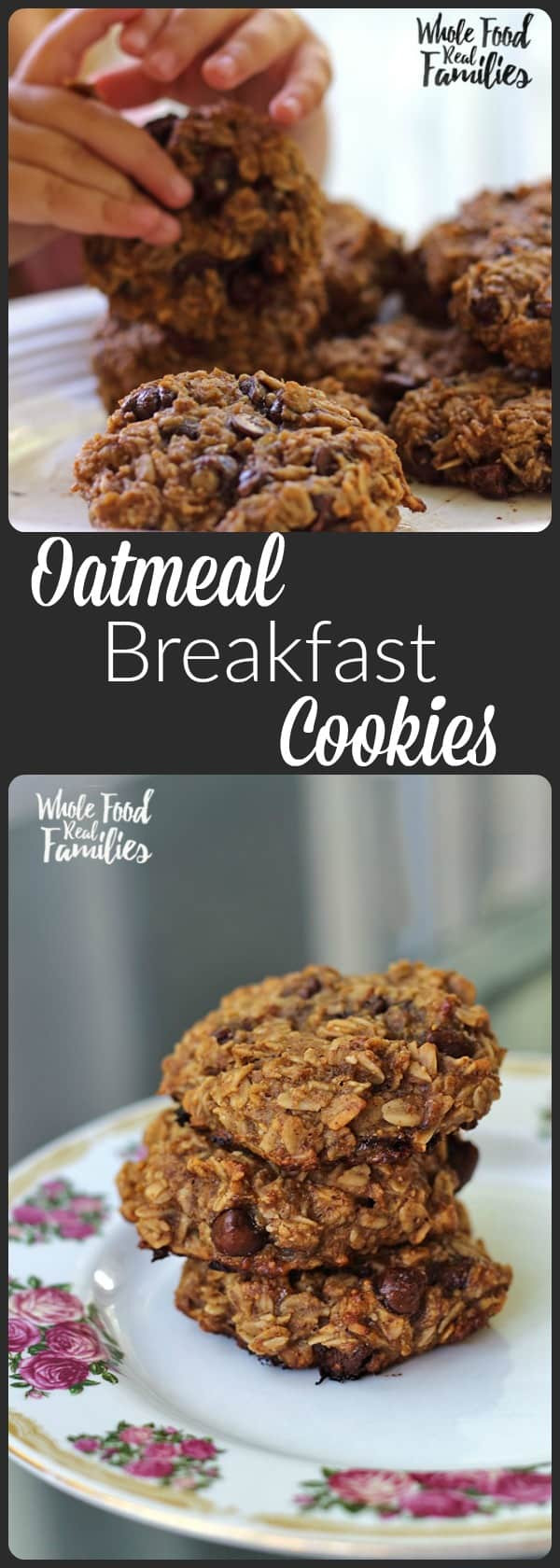 Healthy Oatmeal Breakfast Cookies
 Healthy Oatmeal Breakfast Cookies