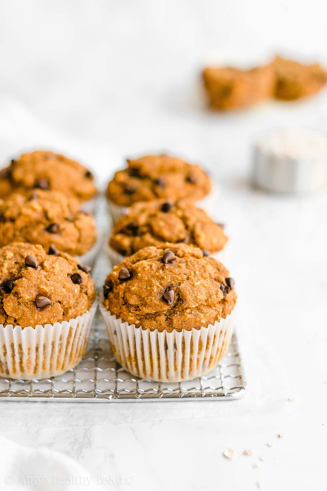 Healthy Oatmeal Chocolate Chip Muffins
 Healthy Pumpkin Chocolate Chip Oatmeal Muffins