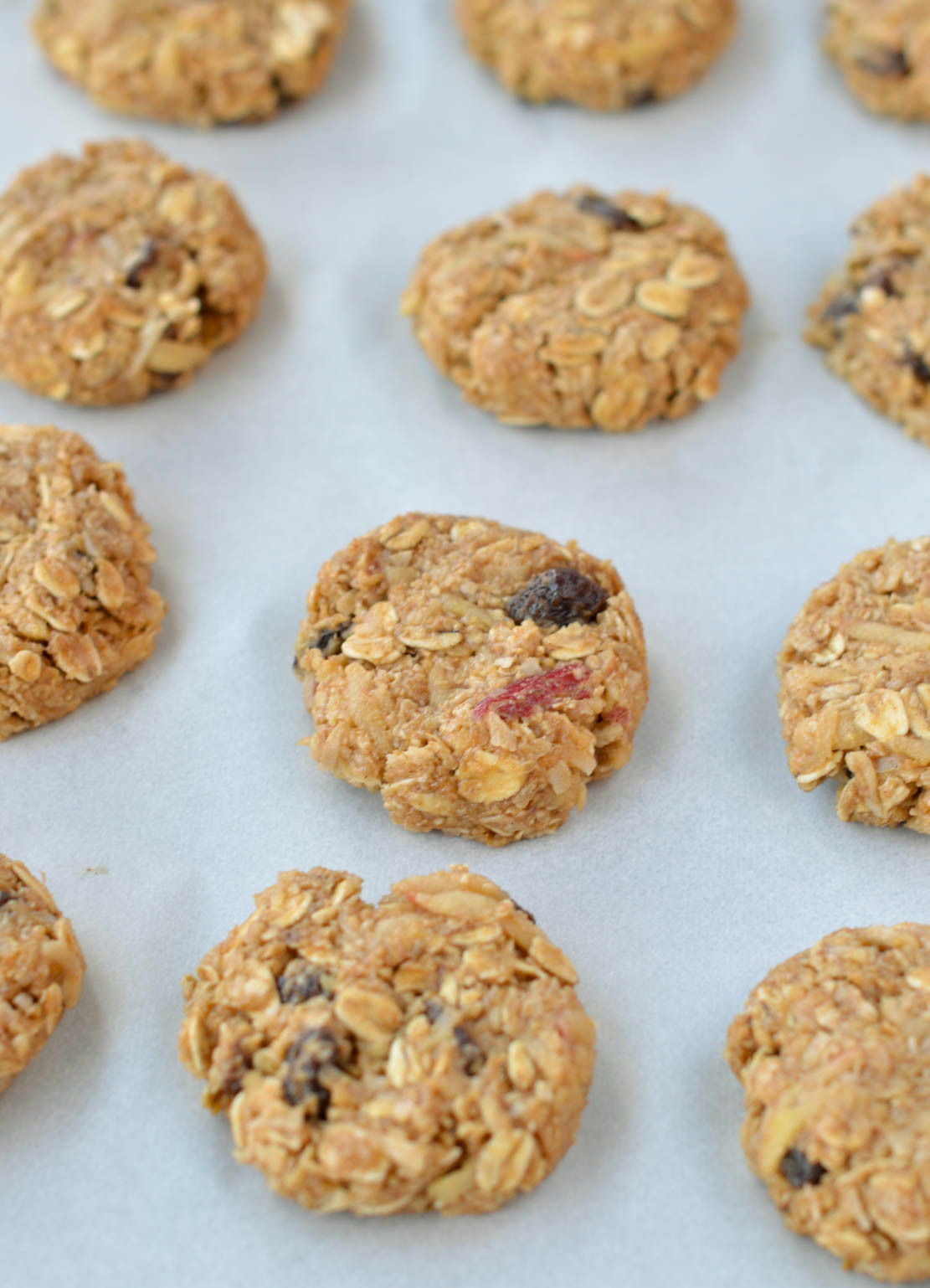 Healthy Oatmeal Cookies No Flour
 apple oatmeal cookies no flour