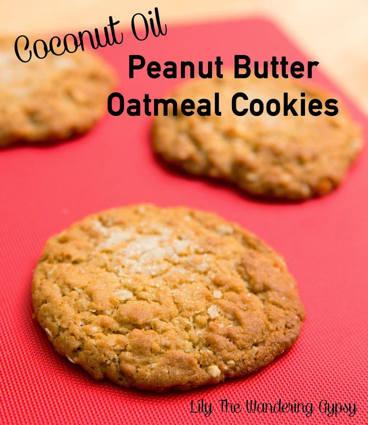 Healthy Oatmeal Cookies With Coconut Oil
 Lily The Wandering Gypsy The Best Peanut Butter Oatmeal