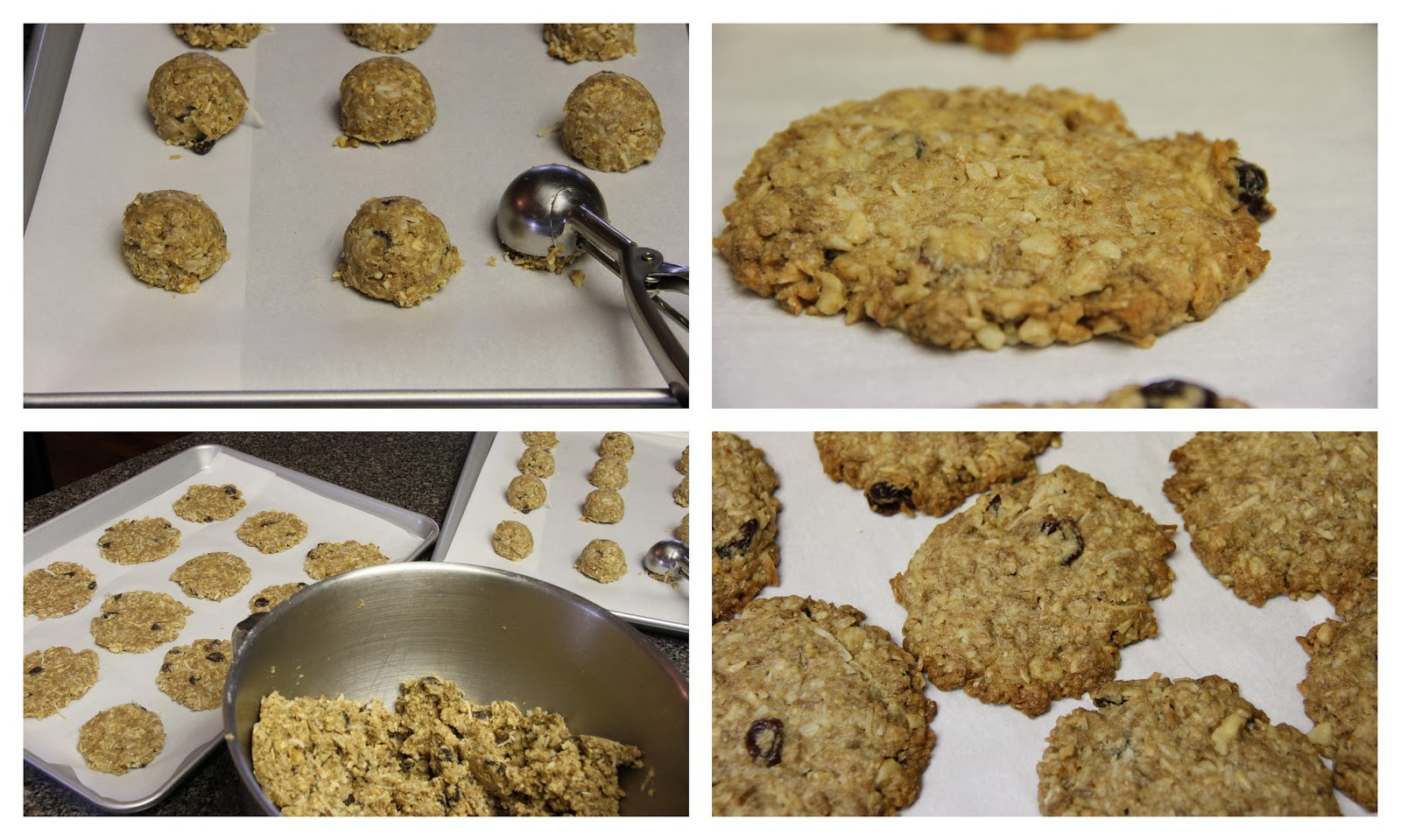 Healthy Oatmeal Cookies With Coconut Oil
 Mennonite Girls Can Cook Coconut Oil Oatmeal Cookies