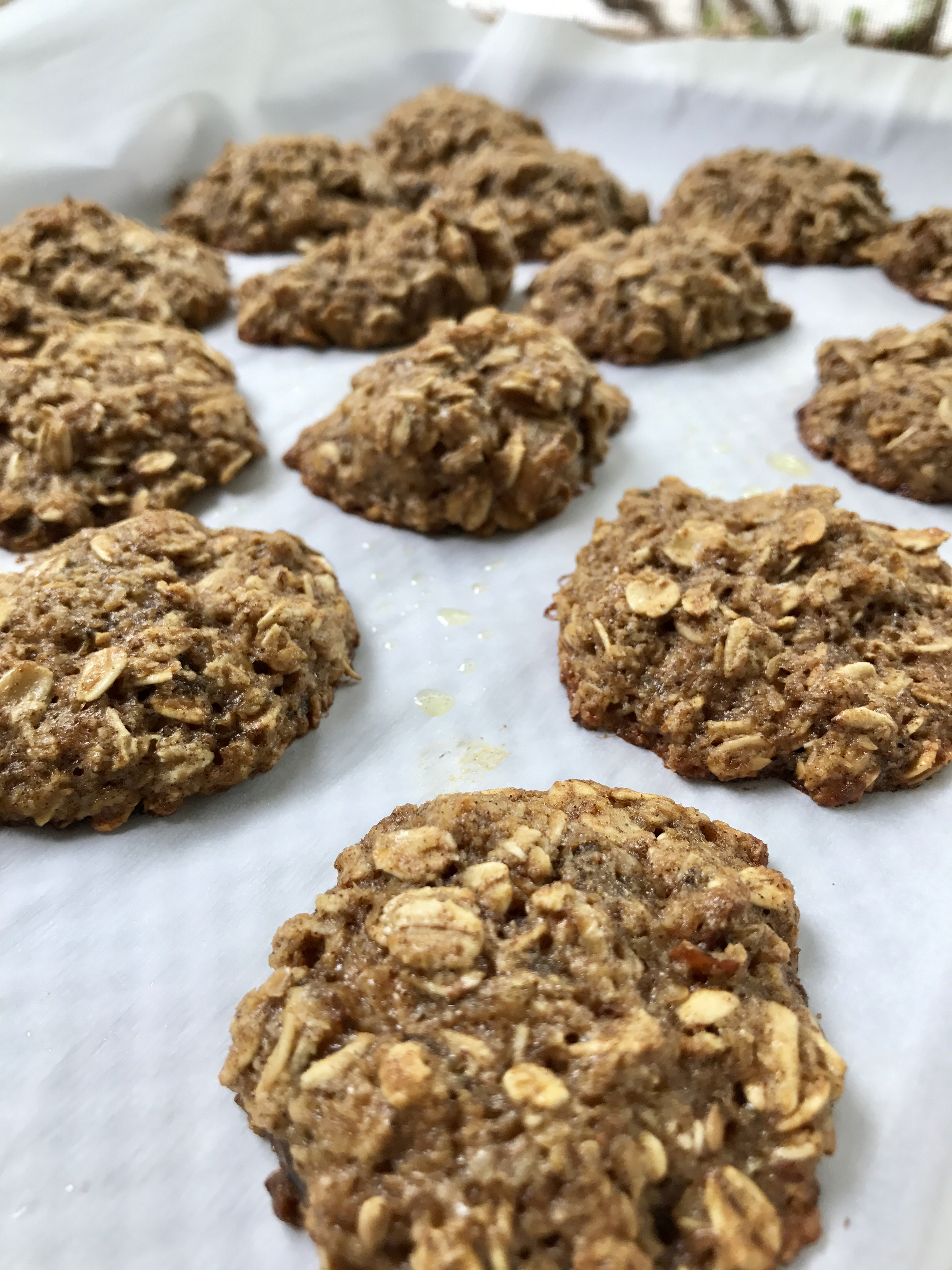 Healthy Oatmeal Date Cookies
 Gluten Free Chewy Oatmeal Date Cookies 4U Fitness