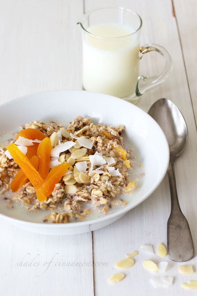 Healthy Overnight Breakfast
 Healthy Overnight Breakfast Bowls – Shades of Cinnamon