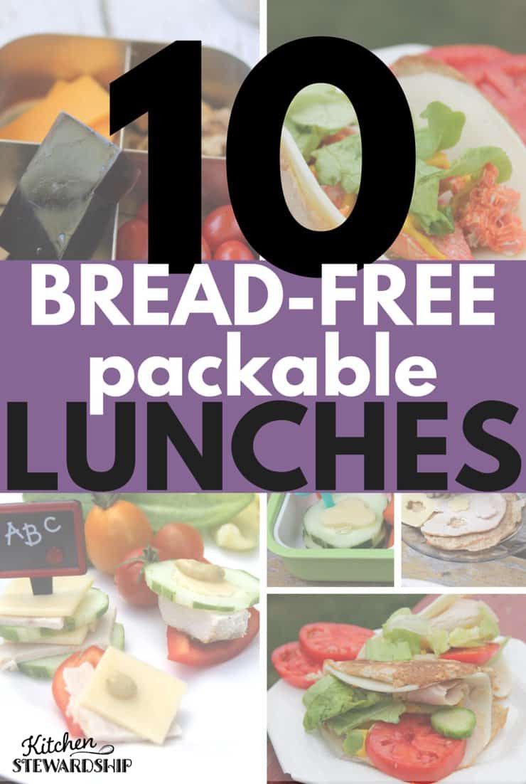 Healthy Packable Lunches
 Healthy Foods for Lunch 10 Packed Bread Free Sandwiches