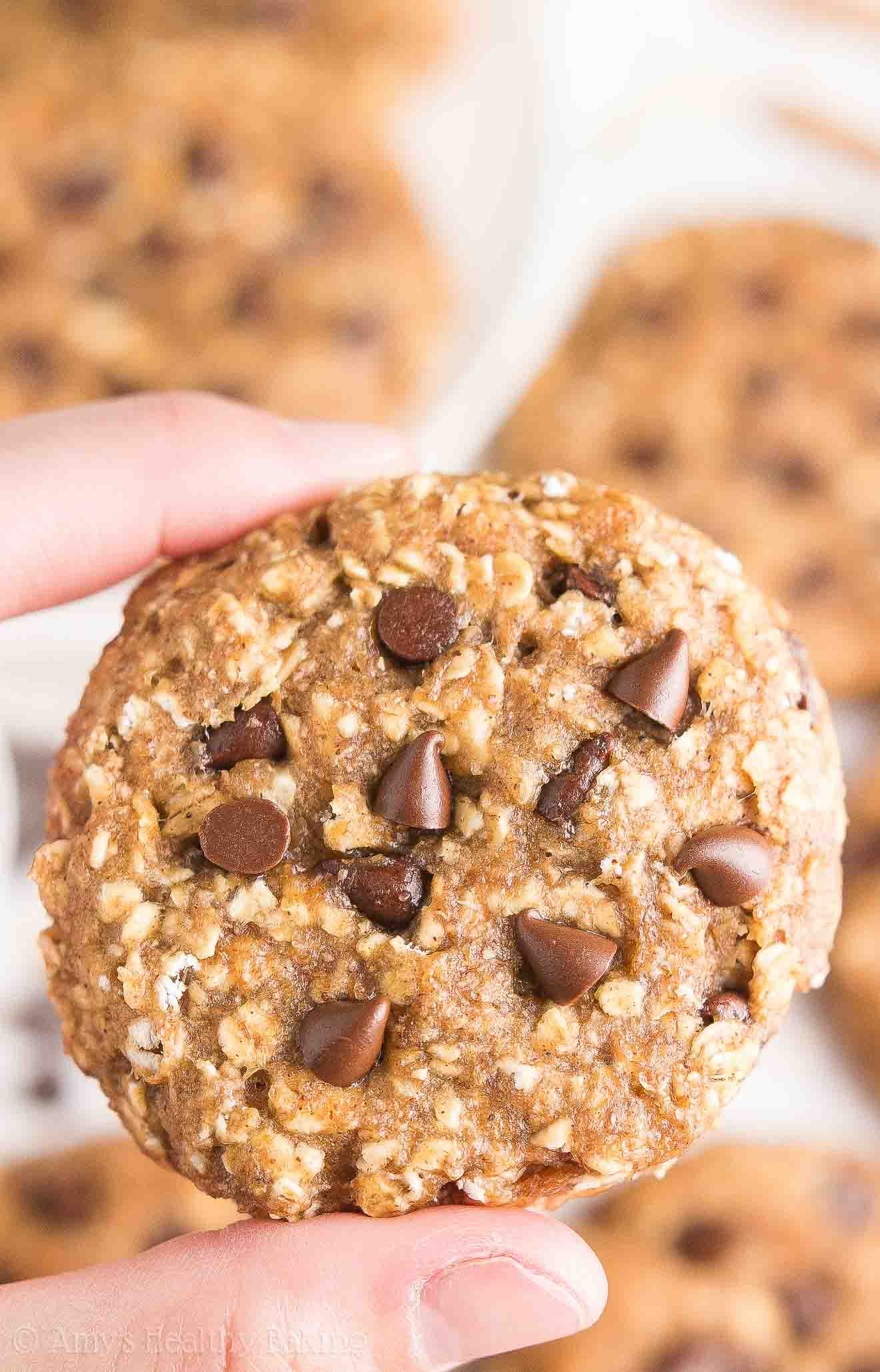 Healthy Peanut Butter Chocolate Chip Cookies
 Healthy Chocolate Chip Peanut Butter Oatmeal Breakfast