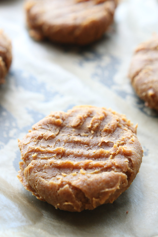 Healthy Peanut Butter Cookies 35 Calories
 Low Calorie Peanut Butter Cookies The Diet Chef