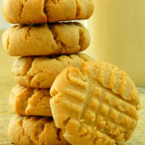 Healthy Peanut Butter Cookies No Sugar
 Sugar Free Cookie Recipes For Diabetics A Beginner s