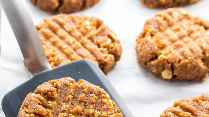 Healthy Peanut Butter Cookies No Sugar
 Healthy peanut butter cookies no sugar about health