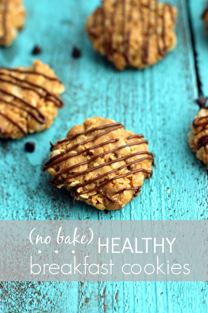 Healthy Peanut Butter No Bake Cookies
 No bake healthy breakfast cookies