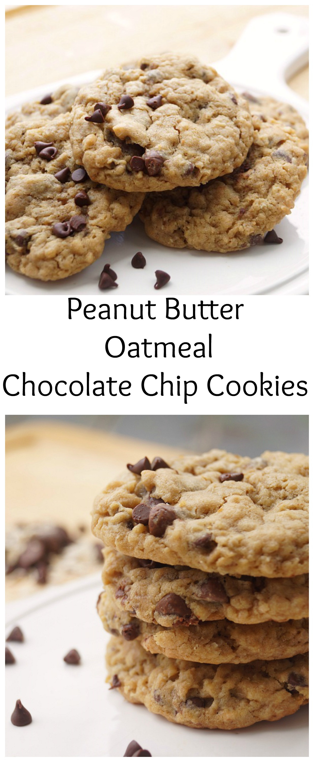 Healthy Peanut Butter Oatmeal Chocolate Chip Cookies
 Peanut Butter Oatmeal Chocolate Chip Cookies