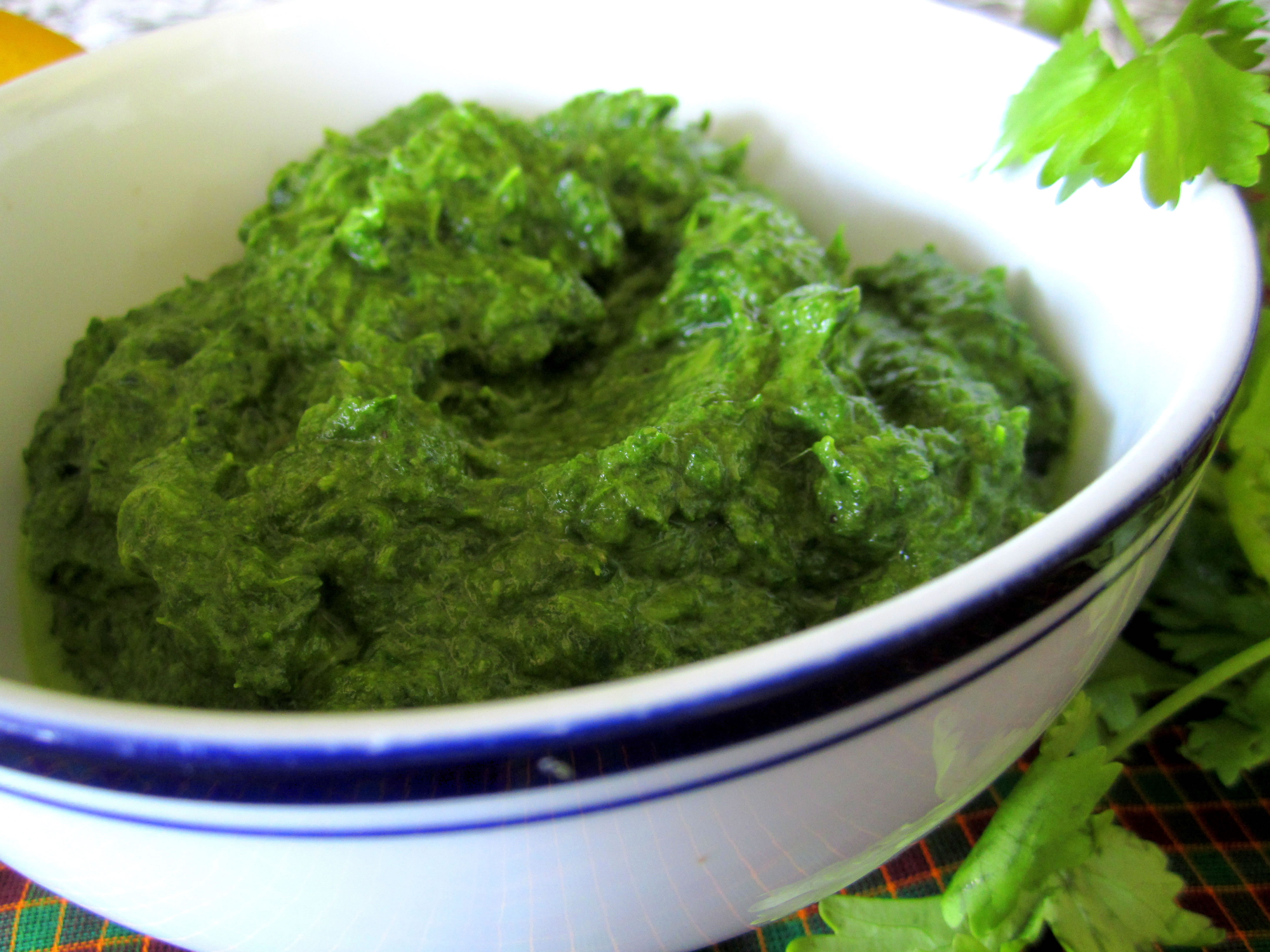 Healthy Pesto Sauce
 88 Cheap and Healthy Lunch and Dinner Recipes