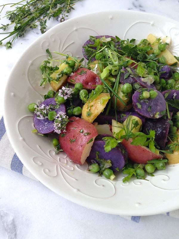 Healthy Potato Salad
 Italian Potato Salad Recipe • CiaoFlorentina