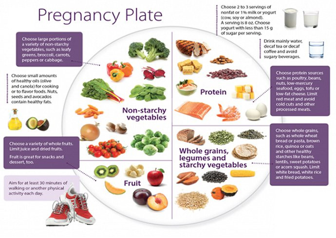 Healthy Pregnancy Dinners
 A Crash Course What To Eat During Pregnancy