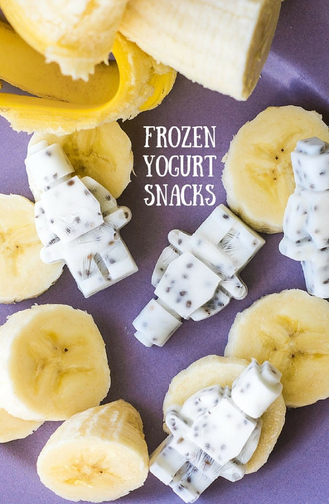 Healthy Premade Snacks
 Healthy and Fun Frozen Yogurt Snacks