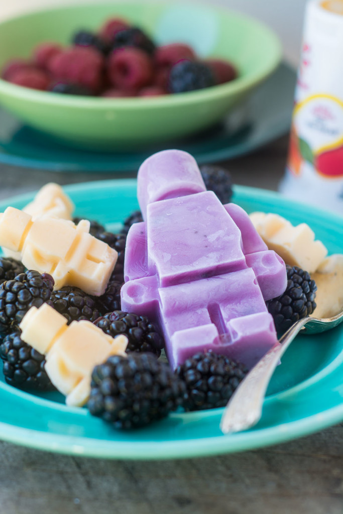Healthy Premade Snacks
 Healthy and Fun Frozen Yogurt Snacks