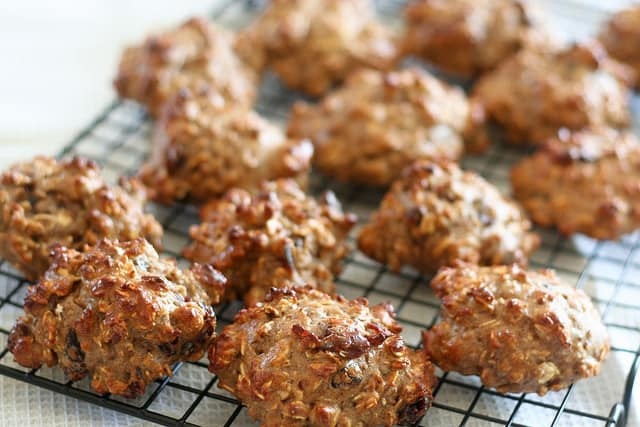 Healthy Protein Oatmeal Cookies
 High Protein Healthy Oatmeal Cookies • The Healthy Foo