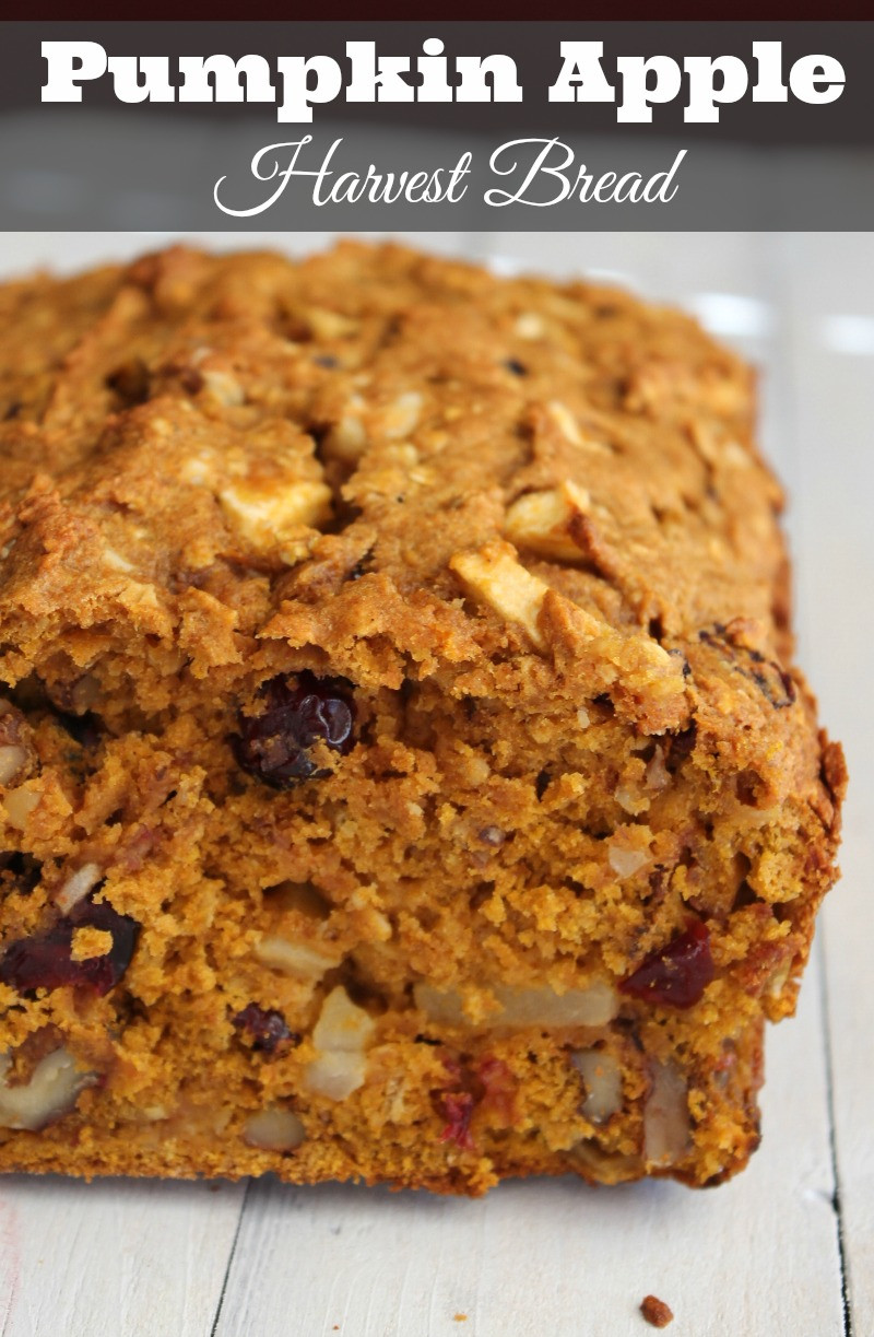 Healthy Pumpkin Apple Bread
 Healthy Pumpkin Apple Harvest Bread Recipe