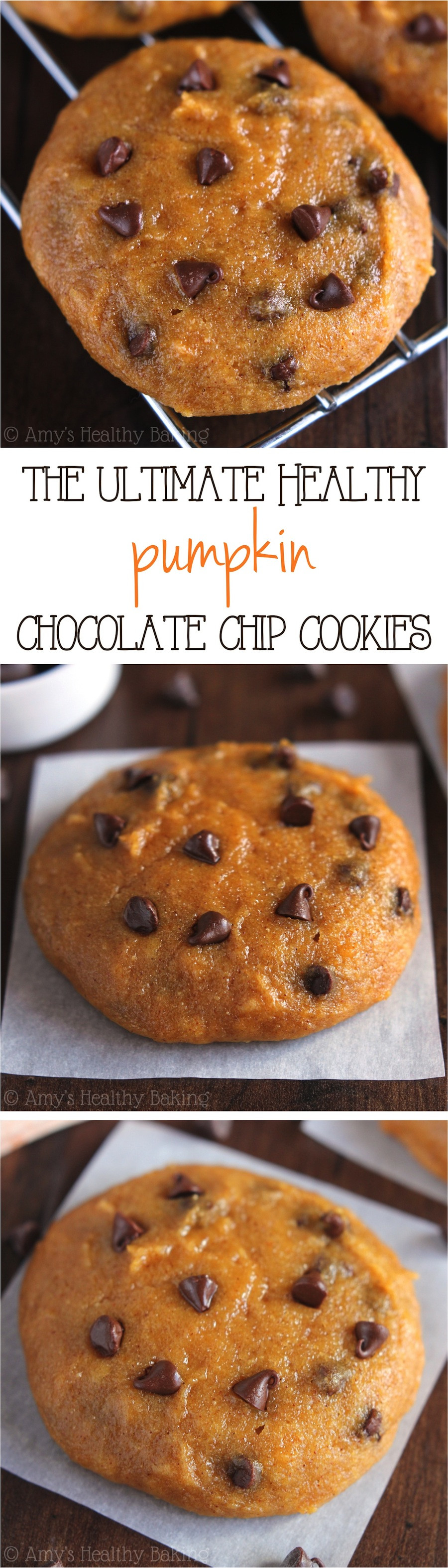 Healthy Pumpkin Cookie Recipes
 Ultimate Healthy Soft & Chewy Pumpkin Chocolate Chip