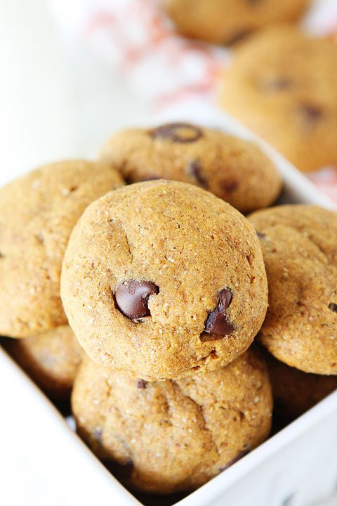 Healthy Pumpkin Cookie Recipes
 Healthy Pumpkin Chocolate Chip Cookies