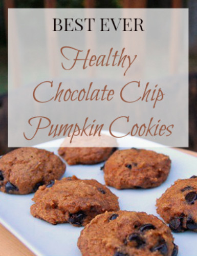 Healthy Pumpkin Cookies Applesauce
 Healthy Pumpkin Chocolate Chip Cookie Recipe with Applesauce