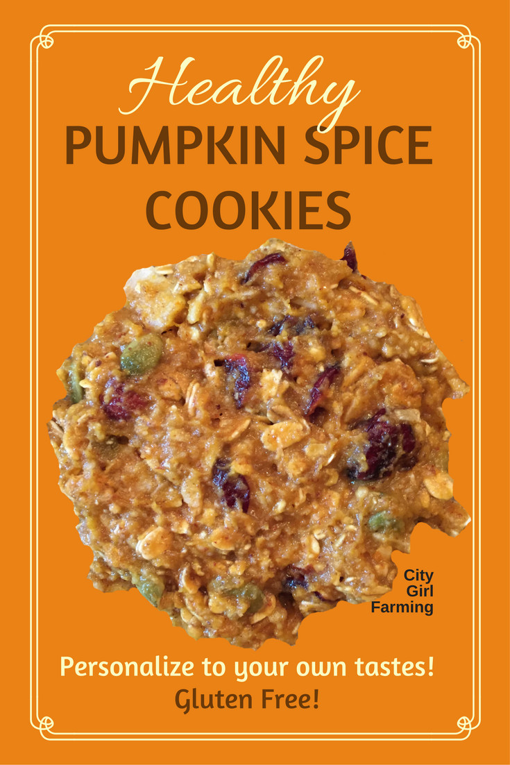 Healthy Pumpkin Cookies No Sugar
 How to Make Healthy Pumpkin Cookies CITY GIRL FARMING