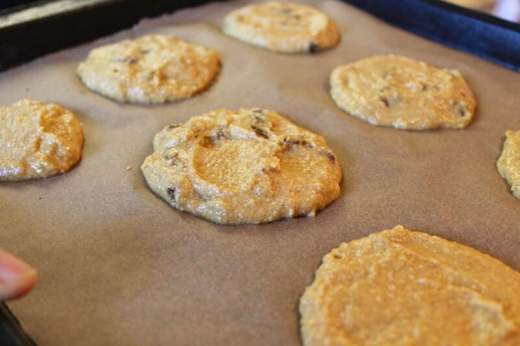 Healthy Pumpkin Cookies No Sugar
 Healthy Date Pumpkin Cookies Recipe Paleo AIP Vegan