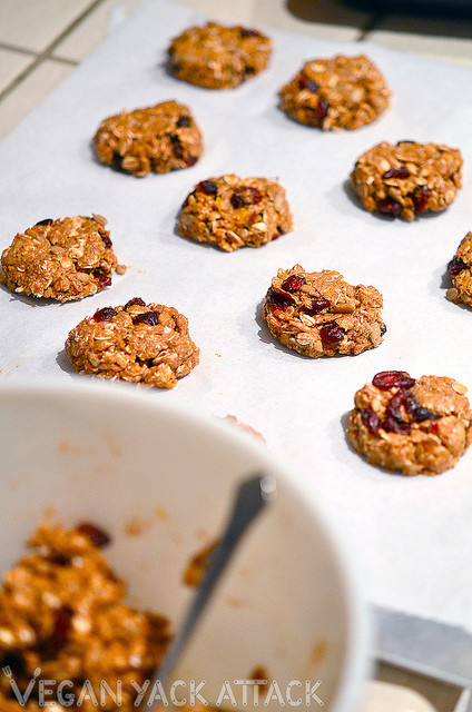 Healthy Pumpkin Cookies No Sugar
 Healthy Pumpkin Cranberry Oatmeal Cookies – Vegan Yack Attack