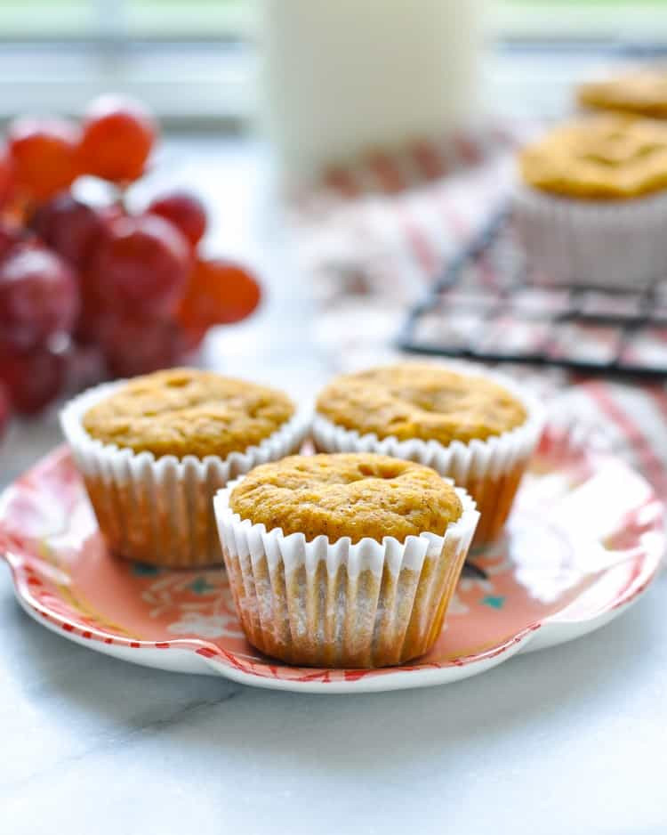 Healthy Pumpkin Muffins With Applesauce
 Healthy Pumpkin Muffins With Applesauce Easy Lunch Ideas