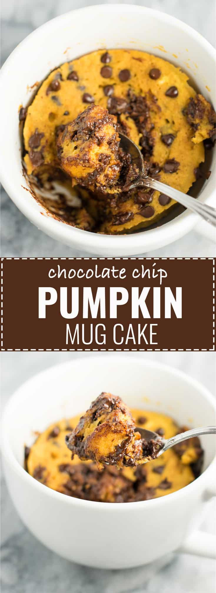 Healthy Pumpkin Mug Cake
 Pumpkin Chocolate Chip Mug Cake Recipe dairy free