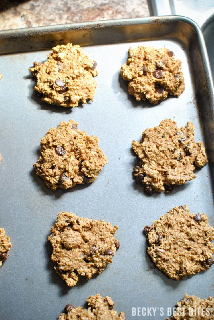 Healthy Pumpkin Oatmeal Chocolate Chip Cookies
 Healthy Pecan Chocolate Chip Pumpkin Oatmeal Cookies