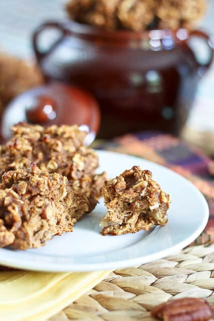 Healthy Pumpkin Oatmeal Cookies
 Totally Sugar Free High Protein Shockingly Healthy