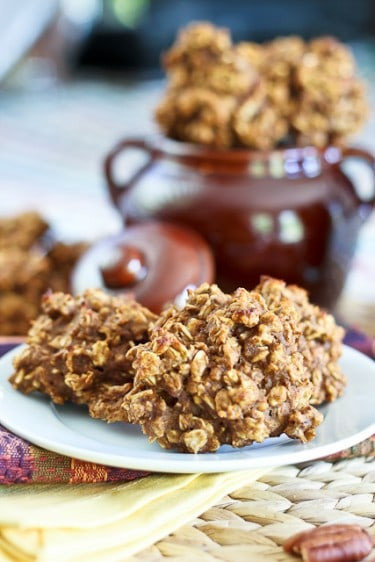 Healthy Pumpkin Oatmeal Cookies
 Totally Sugar Free High Protein Shockingly Healthy