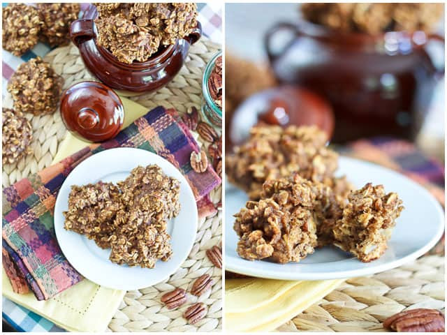 Healthy Pumpkin Oatmeal Cookies
 Totally Sugar Free High Protein Shockingly Healthy