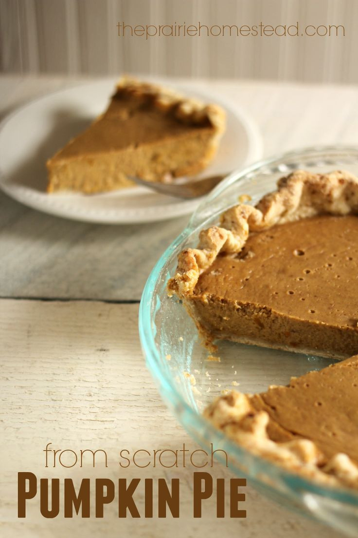 Healthy Pumpkin Pie Recipe From Scratch
 77 best images about Tried & Loved on Pinterest