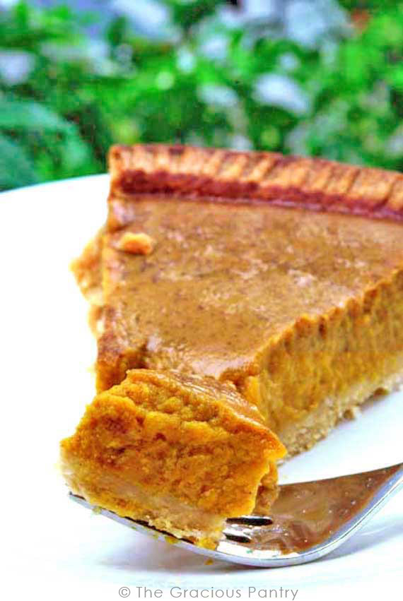 Healthy Pumpkin Pie Recipe No Crust
 t pumpkin pie no crust
