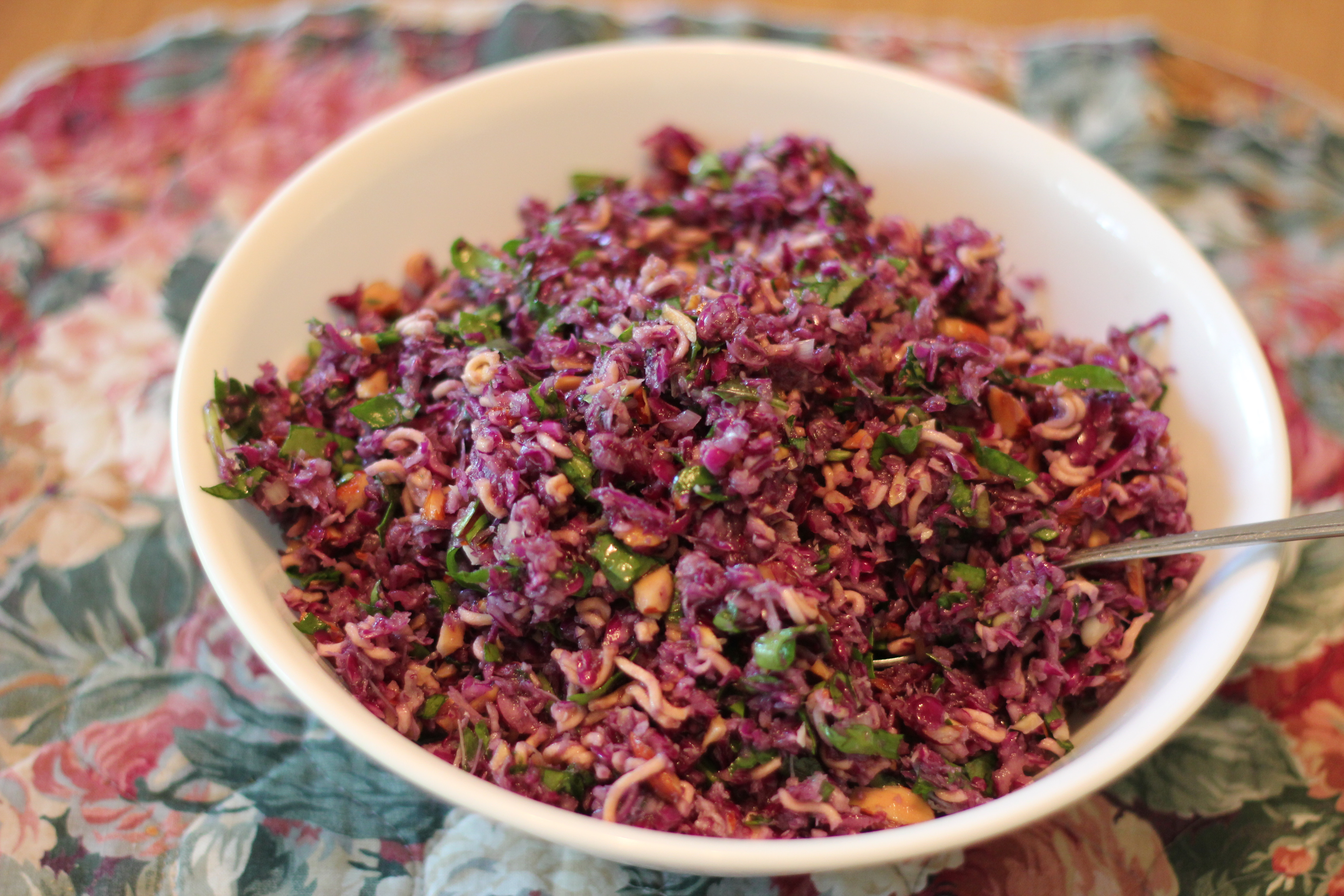 Healthy Red Cabbage Recipes
 healthy red cabbage recipes