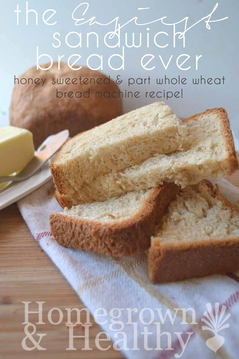 Healthy Sandwich Bread Recipe
 Easy bread machine recipe Homegrown in the Valley