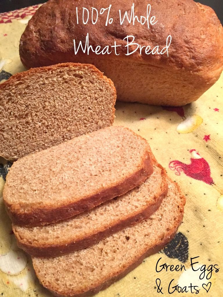 Healthy Sandwich Bread Recipe
 Whole Wheat Sandwich Bread Recipe