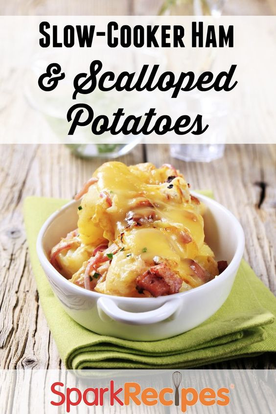 Healthy Scalloped Potatoes And Ham
 Pinterest • The world’s catalog of ideas