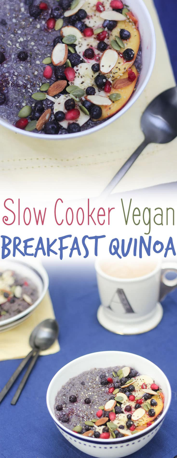 Healthy Slow Cooker Breakfast
 Slow Cooker Vegan Breakfast Quinoa with Blueberries and