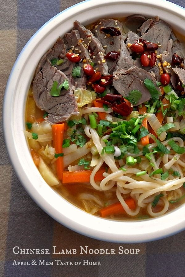 Healthy Slow Cooker Chinese Recipes
 Chinese Lamb Noodle Soup