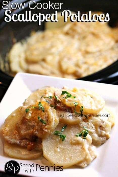 Healthy Slow Cooker Scalloped Potatoes
 Slow Cooker Cheesy Scalloped Potatoes Spend With Pennies