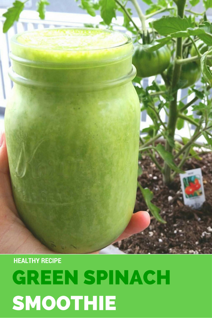 Healthy Smoothie Recipes With Spinach
 MOMMY BLOG EXPERT Green Spinach Smoothie Recipe Easy to