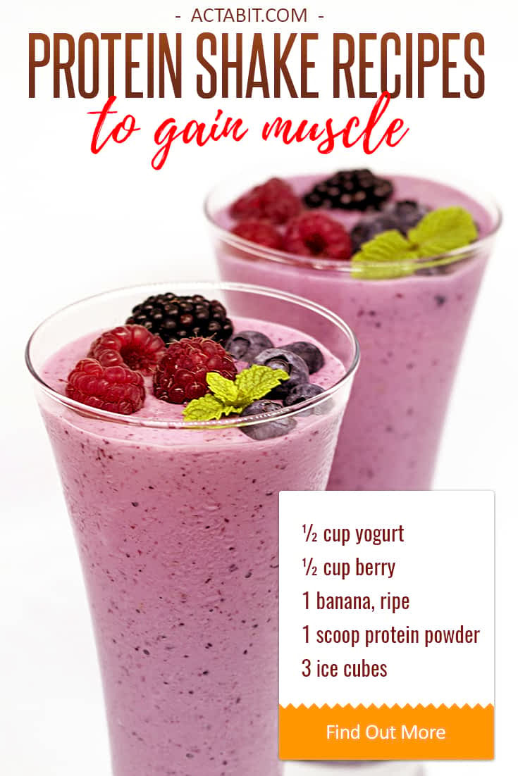 Healthy Smoothies With Protein Powder
 Healthy Protein Shake Recipes to Gain Muscle