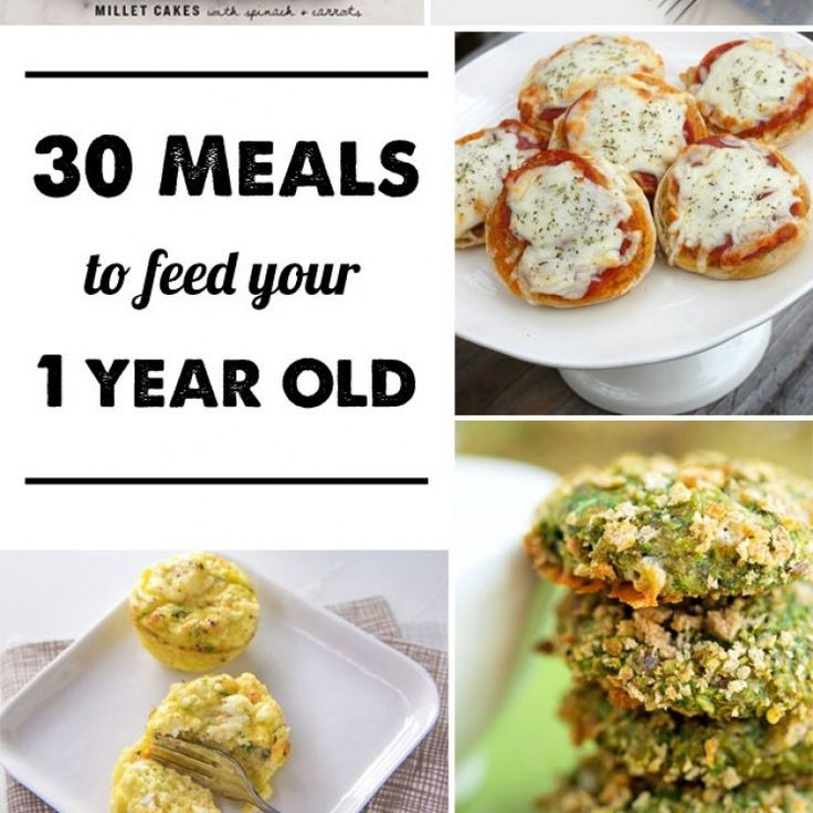 Healthy Snacks For 1 Year Old
 30 Meal Ideas for a 1 year old