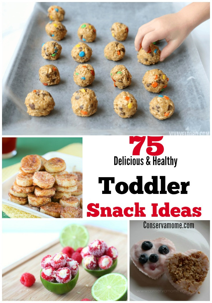 Healthy Snacks For Babies
 75 Delicious & Healthy Toddler Snack Ideas ConservaMom