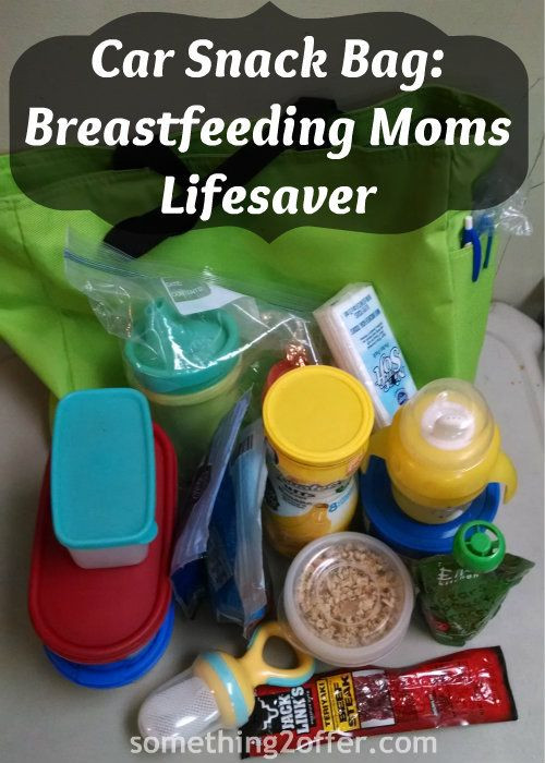 Healthy Snacks For Breastfeeding Moms
 Car Snack Bag A Must for Breastfeeding Moms